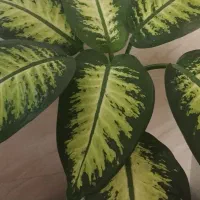 فروش خانه ویلایی