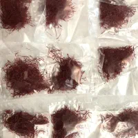 زعفران اورگانیک دست اول