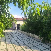 530-متر-باغچه-فول-چسب-بافت-با-امنیت-بالا