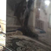 تلویزیون سامسونگ