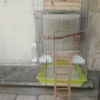 دو عدد قفس ضخیم گالوانیزه تمیز بدون پوسیدگی