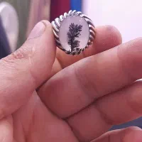 انگشتر شجر تک درخت