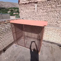 قفست پرند