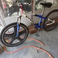 دوچرخه ویوا تایوانی اصل