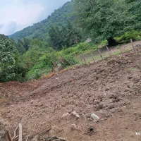 کود گاوی. معاوضه با کاه