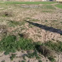 زمین کشاورزی همراه آب