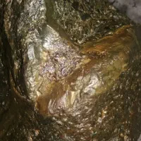 wuihde|کلکسیون اشیاء عتیقه|تهران, شهرآرا|دیوار