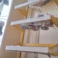 رگال|بندرخت و رخت‌آویز|ایذه, |دیوار