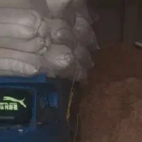کاه گرگرو