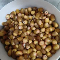 رطب برحی و رطب برم