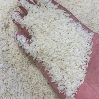 انواع برنج ایرانی