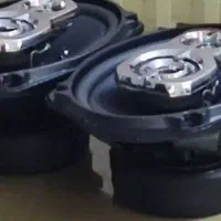 باند ۶۹۷۵ پایونیر تیوتر طلایی