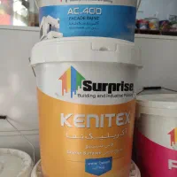 فروش رنگ نما نانو سیلیکونی آنتی باکتریال