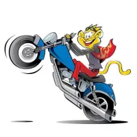 جذب ویزیتور حضوری (چی توز)