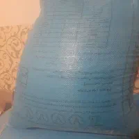 دان بلدرچین