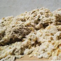 پشم گوسفندی روستا