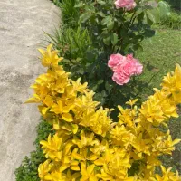دو-سوئیت-تک-خواب-مجزا-اجاره-داده-میشود