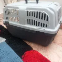 باکس سگ