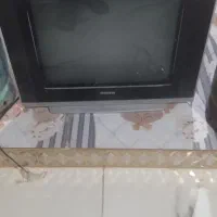 تلویزیون