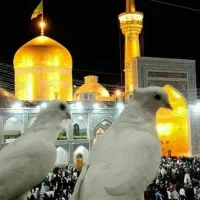 کاروان زیارتی
