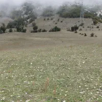 زمین-کشاورزی-عالیدره-لشکنار-معاوضه