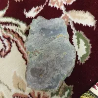 شجیر منظره ای زیبا