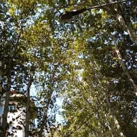 مسیر-همیشه-به-خونه150متری-یعنی-دروس-اینجا