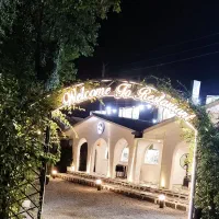 جذب نیروی ویتر باتجربه