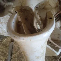 روشویی باشیر