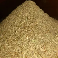 زیره کرابیه