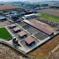 مجموعه پرورش اسب نیازمند همکاری و سرمایه گذاری