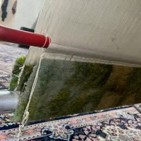 دار قالی|تابلو فرش|رباطکریم, رباطکریم|دیوار