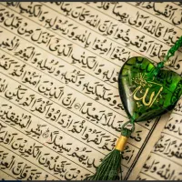 گره گشایی و فال قهوه‌ و سر.کتاب