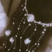 ریسه مو گل دار