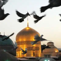تور ریلی مشهد ۴۵۰۰ اقساطی