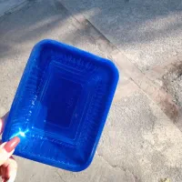 ظرف قارچ بسته بندی نرخ کارخانه