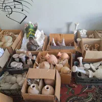 ظروف سفالی و پلی استر
