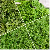 سبزی خردشده آماده 69تومن