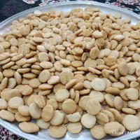 کشک گوسفندی