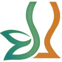 طراحی لوگو تایپوگرافی مینیمال طراحی اسم