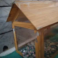 اکواریوم مناسب گل وگیاه