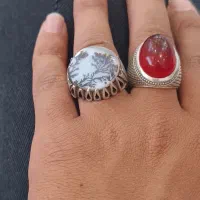 انگشتر شجر کلکسیونی