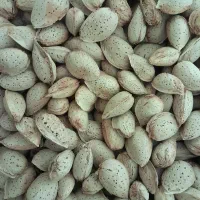 بادام دو پوست ، فرانیس