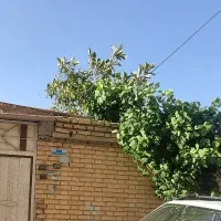 300-متر-آهن-آجر-شمالی-فجر-فردوسی-منتظری-شمالی