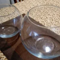 گلدان شیشه ای
