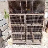 قفس 12طبقه جفتگاه کبوتری