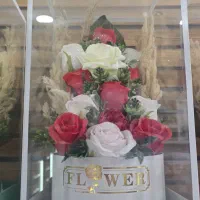 فروشنده آقا یا خانم قنادی