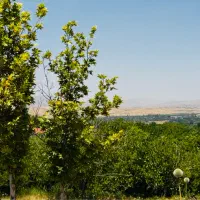 فروش باغ بام سپیدان(سربست)