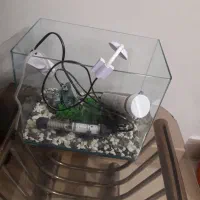 اکواریوم ماهی