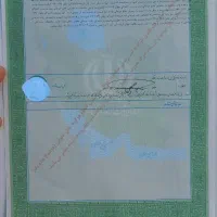 زمین-مزروعی